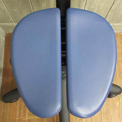 ss5530　アーユル・チェアー　オクトパス　ブルー　キャスタータイプ　座骨イス　アーユルチェアー　ワークチェア　青　健康椅子　腰に良い　座骨で座る　骨盤が立つ　いす　姿勢がよくなる