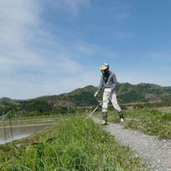 草刈り機で除草します