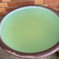 陶器の大型睡蓮鉢