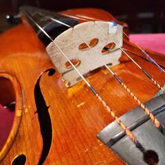 ◇独製？と思われる「ｽﾄﾗﾄﾞのCopyﾊﾞｲｵﾘﾝ」大人用4／4◇