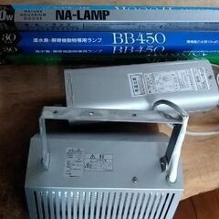 海水魚用関連商品