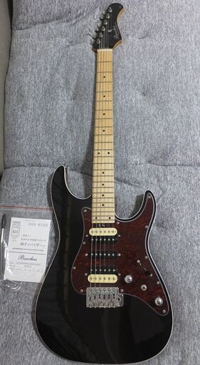 ☆最終値下げ【イケベ・スペシャルオーダーモデル】BACCHUS（バッカス）エレキギター　HGD-STANDARD24-MG/M　BLK/RED　アーム・ソフトケース付