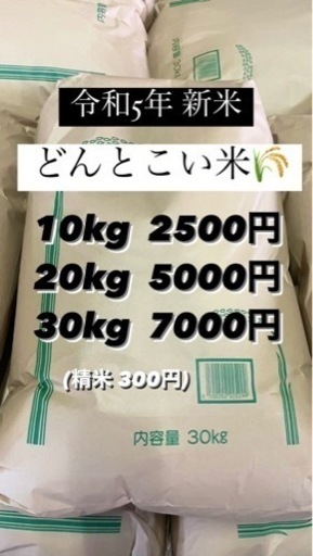 令和5年 どんとこい米 ‼️家計応援価格‼️【2本限定】