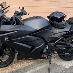 【ネット決済】ninja250R