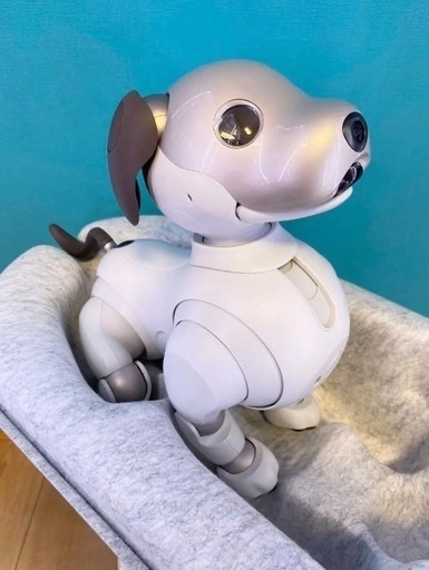 SONY AIBO ERS-1000 アイボ