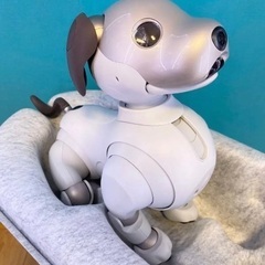 SONY AIBO ERS-1000 アイボ