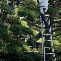 栃木で造園サービスについて尋ねるなら当社へご連絡ください