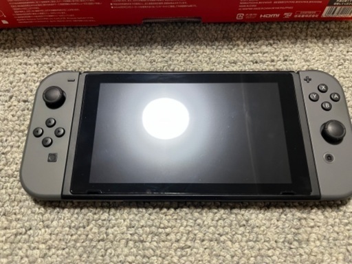 ニンテンドースイッチ本体グレー 美品 Nintendo Switch Lite スイッチ