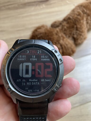 その他 GARMIN Fenix 6X Pro Dual Power