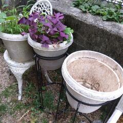 土付き植木鉢と台（同じ物が３セット）