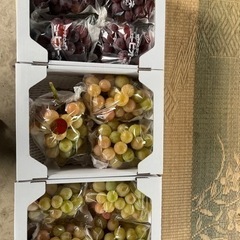 【🍇１箱限定】300円割引です！