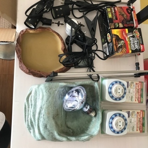 爬虫類用品12品