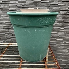 プランター　植木鉢