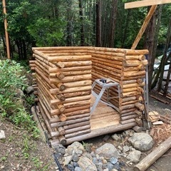 ログハウス1棟分丸太