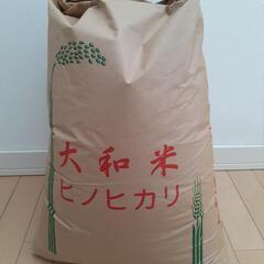 ４年度米　残りわずか　米専用冷蔵庫保管　ヒノヒカリ30kg