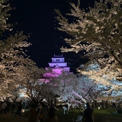 主婦仲間、遊び仲間募集です。