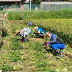 畑・野菜・養鶏❗️メンバー募集　土遊農