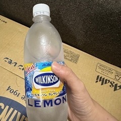 ウィルキンソン 炭酸水 レモン 500ml×24本 PET ペッ...