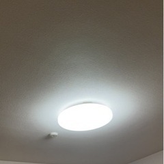 LED ライト