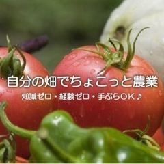 🌻料金無料🌻「岸和田南農園」プチ農業体験会のお知らせ