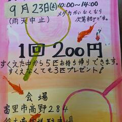 メダカすくい　追記　雨天予報の為、翌日２４日日曜日に変更します。