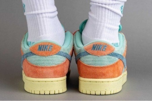 NIKE SB DUNK LOW PRO PRM - DV5429-800 当選品
