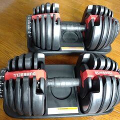 相談中」 ダンベル24kg✕2個 おまけトレーニングベンチ 引取限定