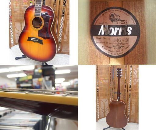 Morris アコースティックギター MG-30 縦ロゴ アコギ モーリス 弦楽器 ソフトケース付き 札幌市 屯田店 Morris アコースティックギター MG-30 縦ロゴ アコギ モーリス 弦楽器