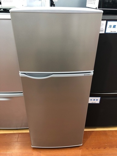 SHARP(シャープ)の2ドア冷蔵庫(2022年製)をご紹介します‼︎ トレジャーファクトリーつくば店