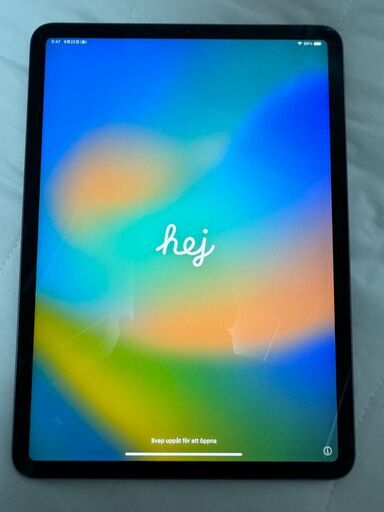 Apple iPad Pro 11インチ 第1世代 Wi-Fi 64GB