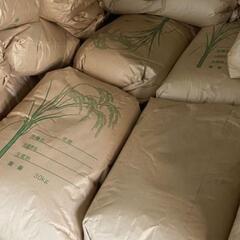 有機肥料使用コシヒカリ令和５年３０キロ
