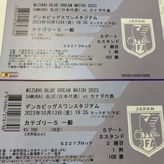 サッカー日本代表ペアチケット10/13新潟　最終値下げ！
