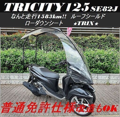 【普通免許仕様もOK】トリシティ125 ルーフシールド なんと走行1583km ローダウンシート★TRIX★