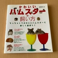 【お渡し先決定】かわいいハムスターの飼い方