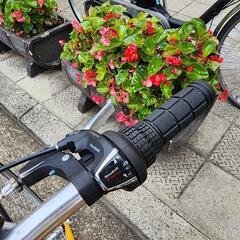 💯💯　クロスバイク　ＷＥＥＤＥＮＤ　ＢＩＫＥ　700x28c  7変速　フレーム　アルミ　黄色　配達可能