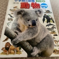 小学館の図鑑　NEO  動物