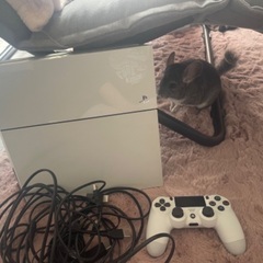 Ps4本体 コントローラー付き