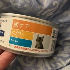 値下げ　猫餌　ヒルズhill's 尿ケア　c/d缶　10缶　シーフード