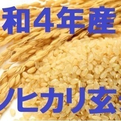 【大特価】令和4年産ヒノヒカリ玄米30kg低農薬