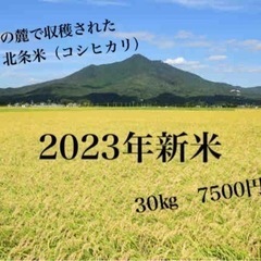 （売切）2023年　新米