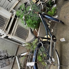 自転車