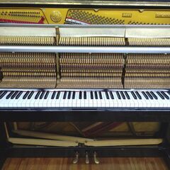 期間限定/在庫一掃/現状渡し】カールザイラー CARLSEILER CA126