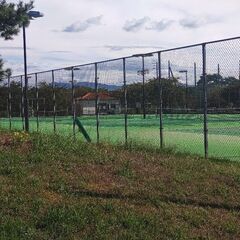 テニスがしたいです。