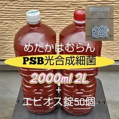 PSB光合成細菌2000ml（2L）+培養剤（エビオス錠）50個②