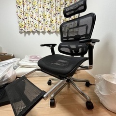 エルゴヒューマン プロ オットマン内蔵型 オフィスチェア ブラック エラストメリックメッシュ EHP-LPL KM-11