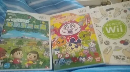Wiiソフト本体