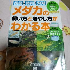 メダカの飼い方と増やし方本(中古美品)