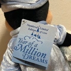 激レア】【美品】世界1200体限定WDW ミッキー