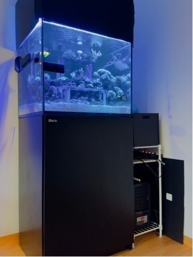 商談中 Red Sea reefer 170 レッドシー リーファー 水槽 引き取り限定 クーラーなしなら三万円値引き可能