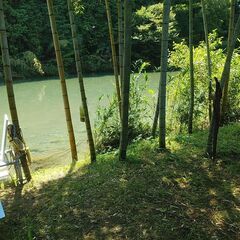 岐阜県関市上之保　鮎釣り 沢水 おとり 山菜 筍 山登り …